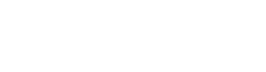 SNAP Insurance Service